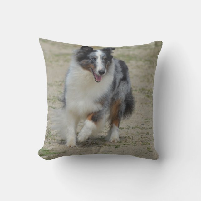 Blue Merle Australian Shepherd Cushion (Front)