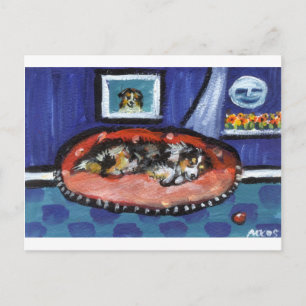 Blue Merle Australian Shepherd in bed Postcard
