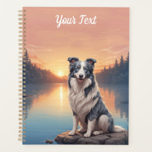 Blue Merle Border Collie by Lake Planner