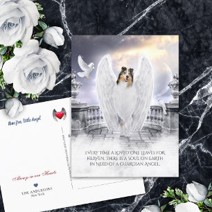 Blue Merle Collie Angel Heaven - Pet Loss Sympathy Postcard