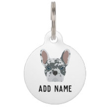 Blue Merle French Bulldog