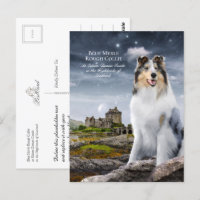 Blue Merle Rough Collie at Eilean Donan Castle -