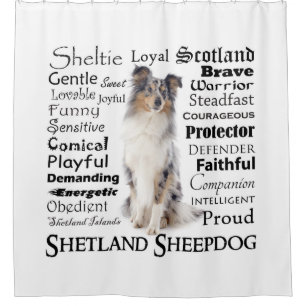Blue Merle Sheltie Traits Shower Curtain