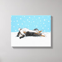 Blue Merle Shetland Sheepdog Sheltie Winter Snow