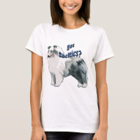 Blue Merle shetland Sheepdog