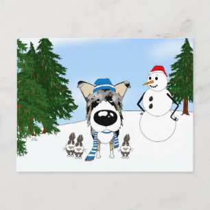 Blue Merle Smooth Collie Winter Snow Postcard