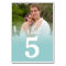Blue Mist Wedding Photo Table Number Cards