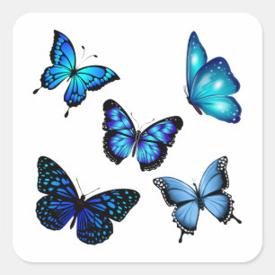 Blue Monarch Butterfly Square Sticker