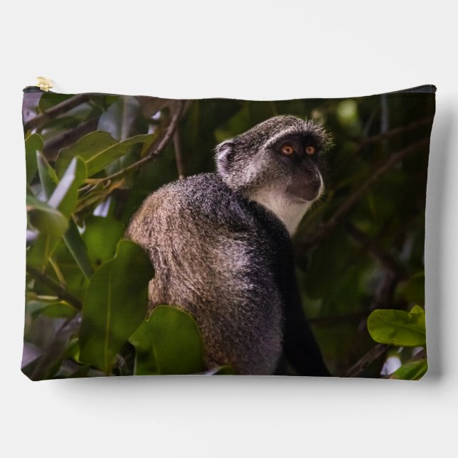 Blue monkey, Zanzibar Accessory Pouch (Front)