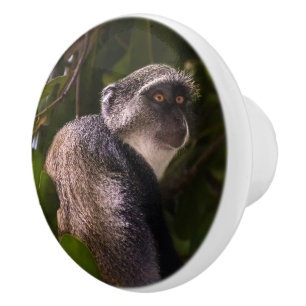 Blue monkey, Zanzibar Ceramic Knob