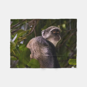 Blue monkey, Zanzibar Fleece Blanket
