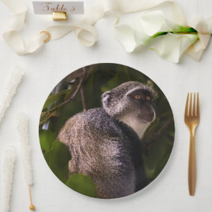 Blue monkey, Zanzibar Paper Plate