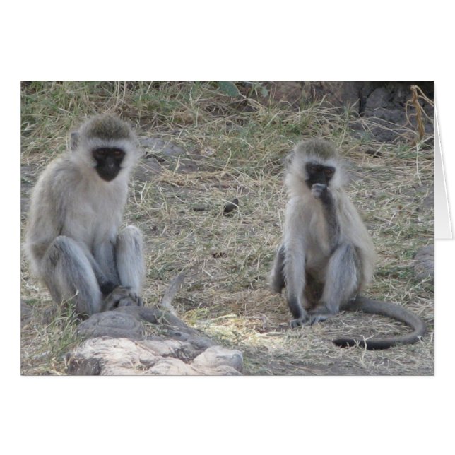 Blue Monkeys (Front Horizontal)