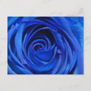 Blue Moon Postcard