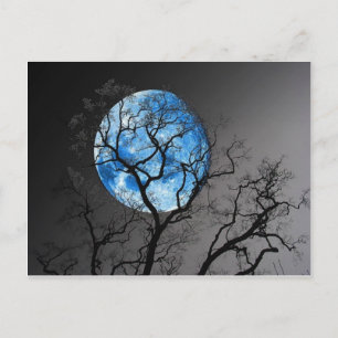 BLUE MOON POSTCARD