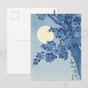 Blue Moonlit Blossom Tree Under the Night Sky Postcard