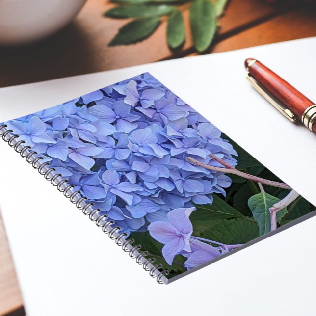 Blue Mophead Hydrangea Bloom Floral Notebook (In Situ)
