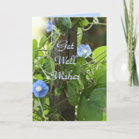 Blue Morning Glories- customise any occasion