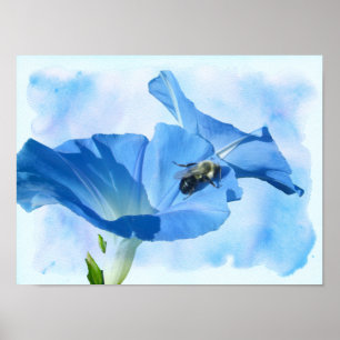 Blue Morning Glory and Bumblebee Poster