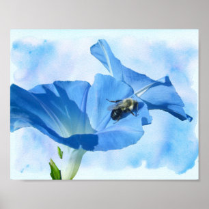 Blue Morning Glory and Bumblebee Poster