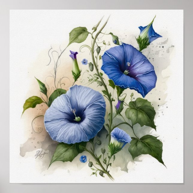 Blue Morning Glory Flowers Art Print Poster (Front)