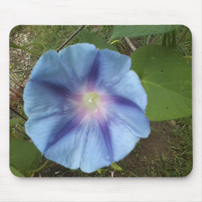 blue morning glory mousepad (Front)