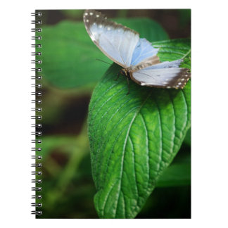 Blue Morpho 112 Notebook