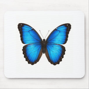 Blue Morpho Brilliance Mouse Pad