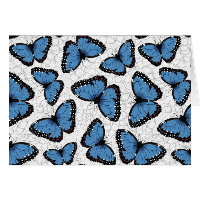 Blue morpho butterflies (Front Horizontal)