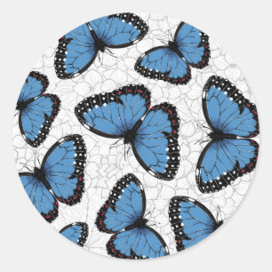 Blue morpho butterflies classic round sticker