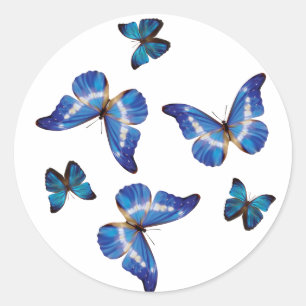 Blue Morpho Butterflies Stickers