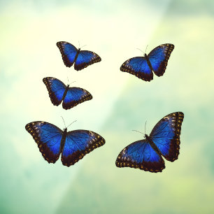 Blue Morpho Butterflies Window Cling