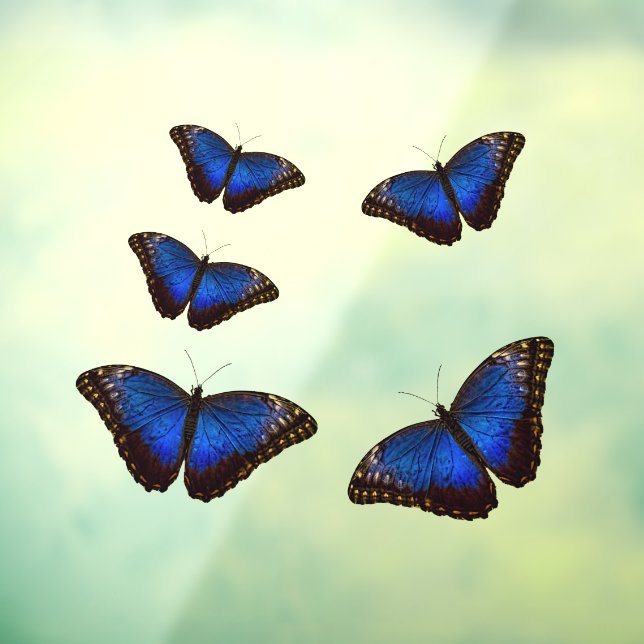 Blue Morpho Butterflies  Window Cling (Sheet 3)
