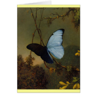 Blue Morpho Butterfly 1865 Spring Personalise Art
