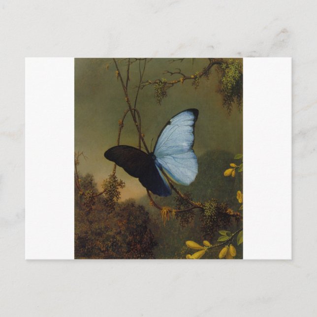 Blue Morpho Butterfly 1865 Spring Personalise Art Postcard (Front)