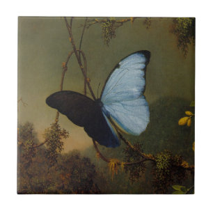 Blue Morpho Butterfly by Martin Johnson Heade Tile