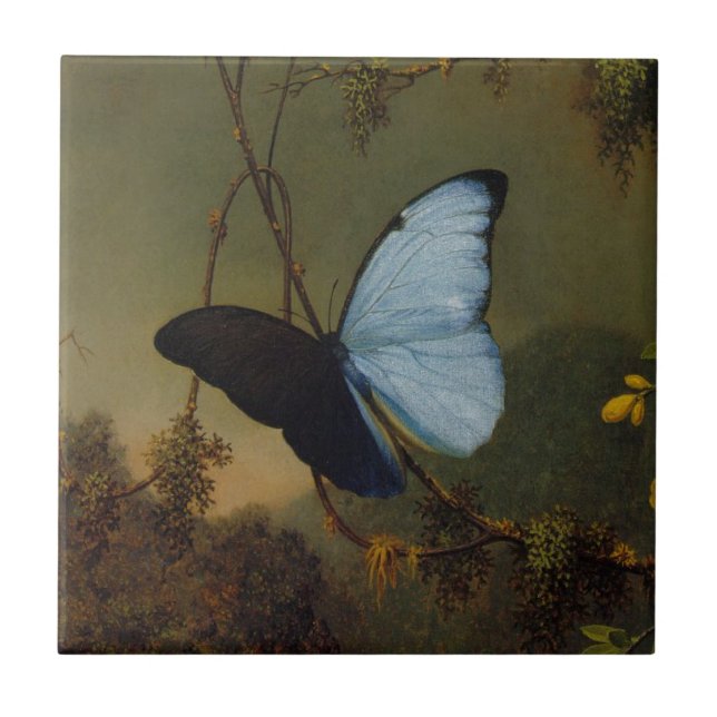 Blue Morpho Butterfly by Martin Johnson Heade Tile (Front)