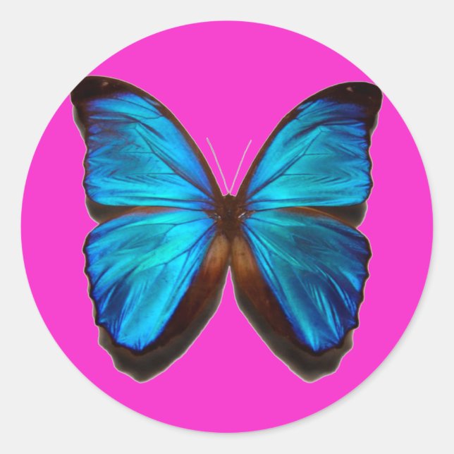 Blue Morpho Butterfly Classic Round Sticker (Front)