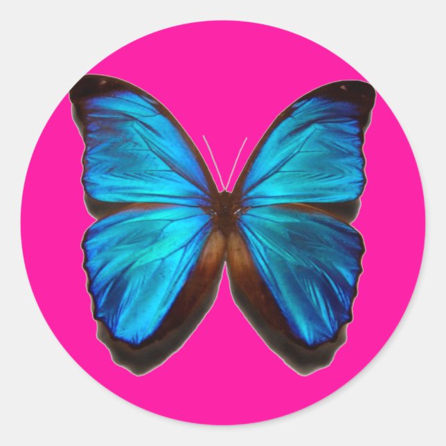 Blue Morpho Butterfly Classic Round Sticker (Front)