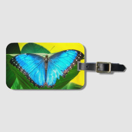 Blue Morpho Butterfly Floral Nature Art Luggage Tag