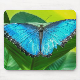 Blue Morpho Butterfly Floral Nature Art Mouse Pad