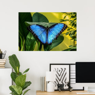 Blue Morpho Butterfly Floral Nature Art Poster
