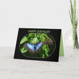 Blue Morpho Butterfly Happy Birthday Card