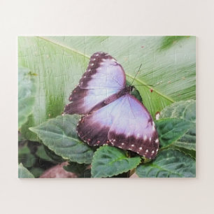Blue morpho butterfly jigsaw puzzle