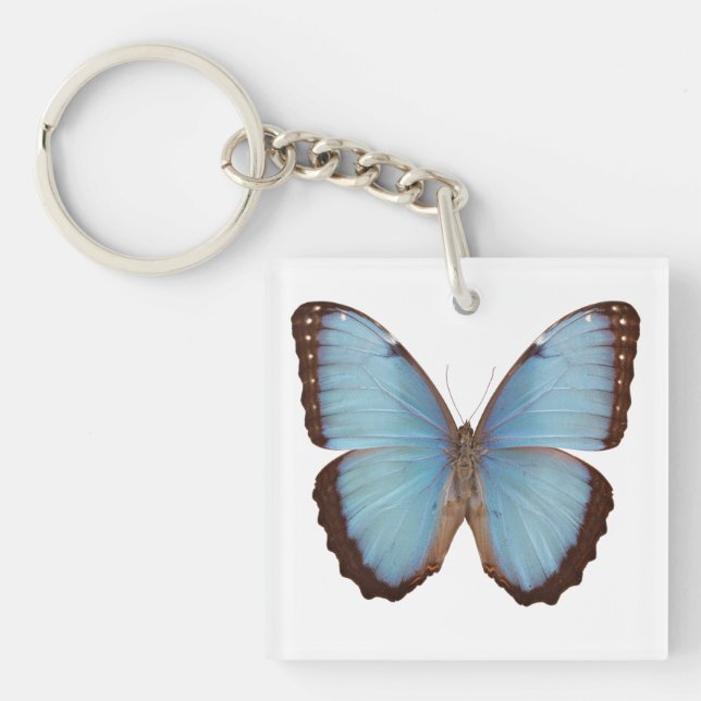 Blue Morpho Butterfly Key Ring (Front)