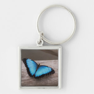 Blue Morpho Butterfly Key Ring