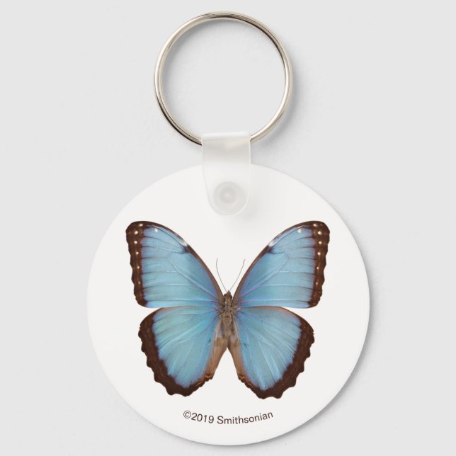 Blue Morpho Butterfly Key Ring (Front)