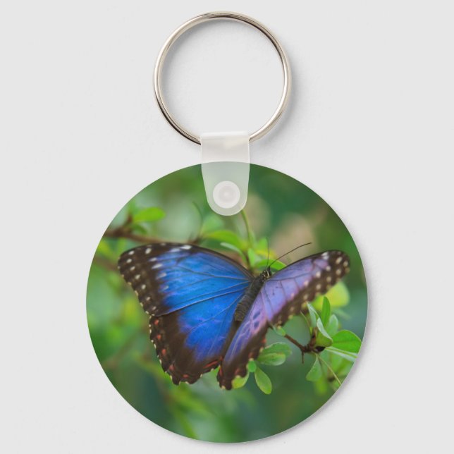 Blue Morpho Butterfly Keychain (Front)