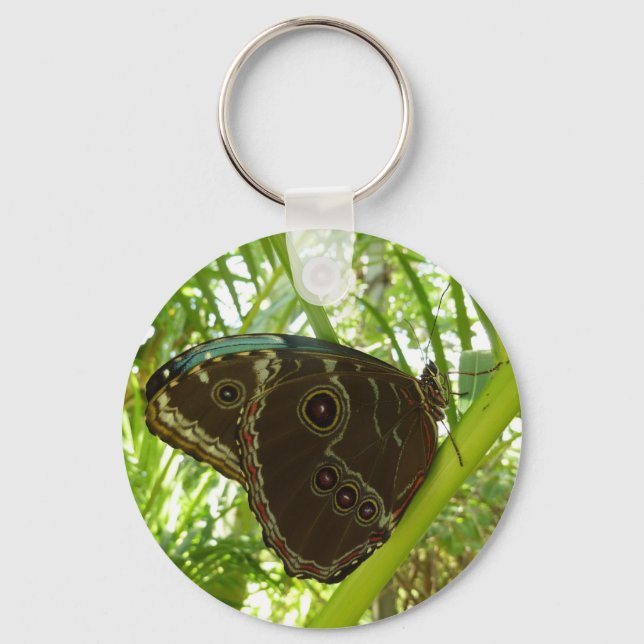 Blue Morpho Butterfly Nature Photography Key Ring (Front)