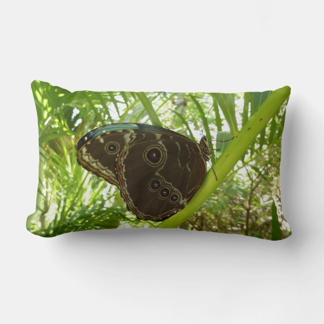 Blue Morpho Butterfly Nature Photography Lumbar Cushion (Front)